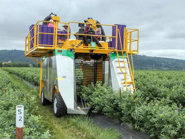 Vendita-macchine-agricole-ploeger